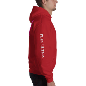 Vincere Renaissance Hooded Sweatshirt